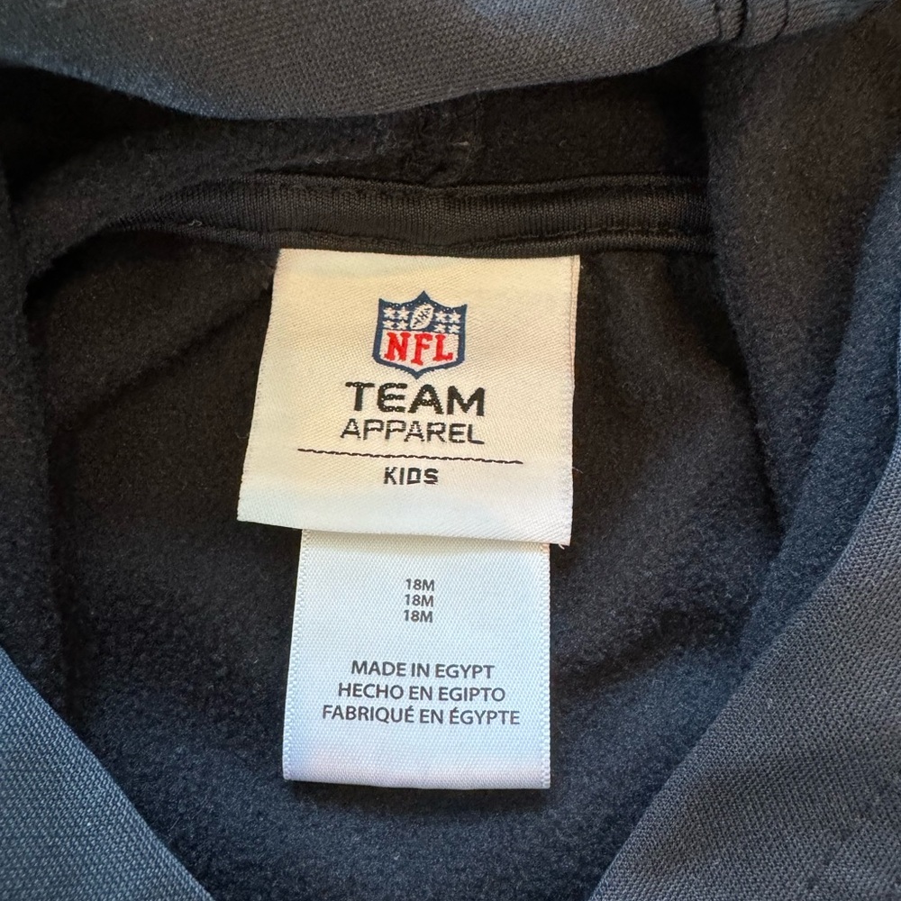 NFL • Carolina Panthers Hoodie • Black • 18 Months - Picture 3 of 4